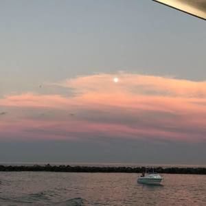 Meet your Posher, Steve